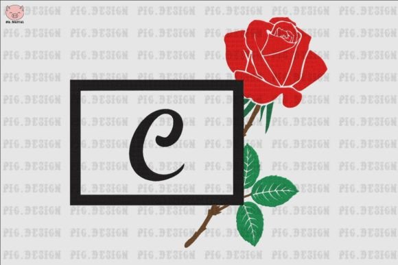 Rose Font C: A Designer’s Review for Boutique Apparel